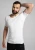 MFLY0471.webp